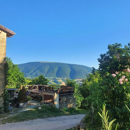 Bed and breakfast Le Ginestre Assise Extérieur photo