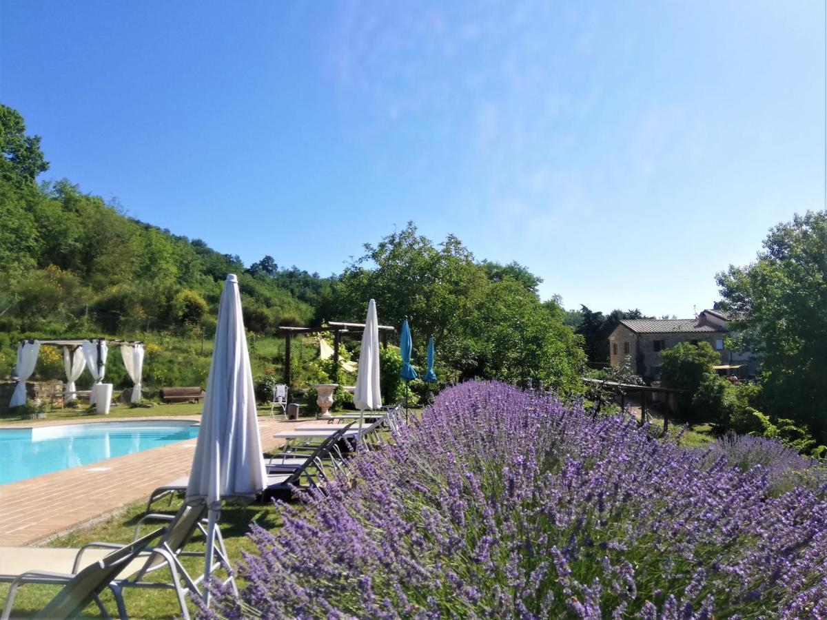 Bed and breakfast Le Ginestre Assise Extérieur photo