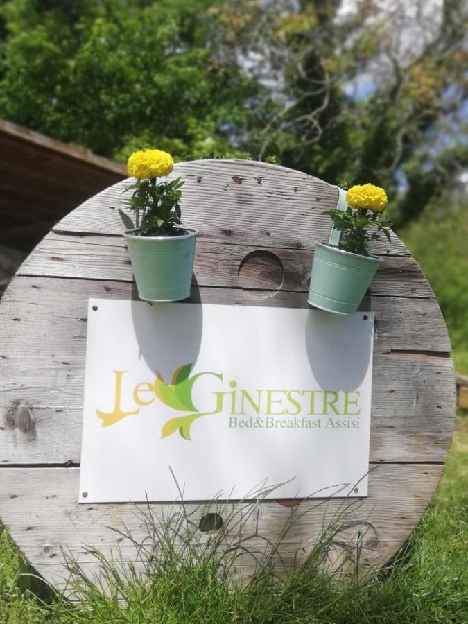 Bed and breakfast Le Ginestre Assise Extérieur photo