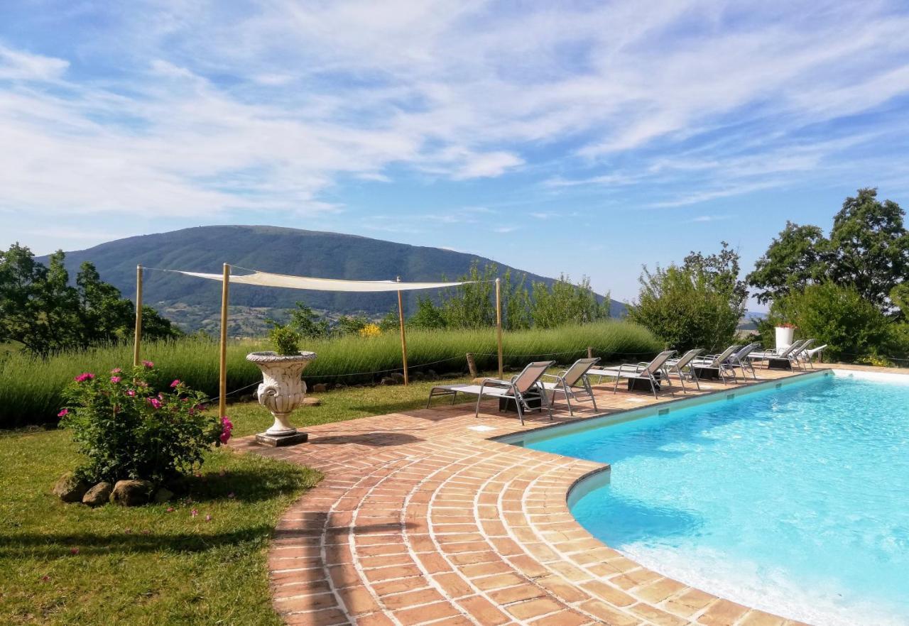 Bed and breakfast Le Ginestre Assise Extérieur photo