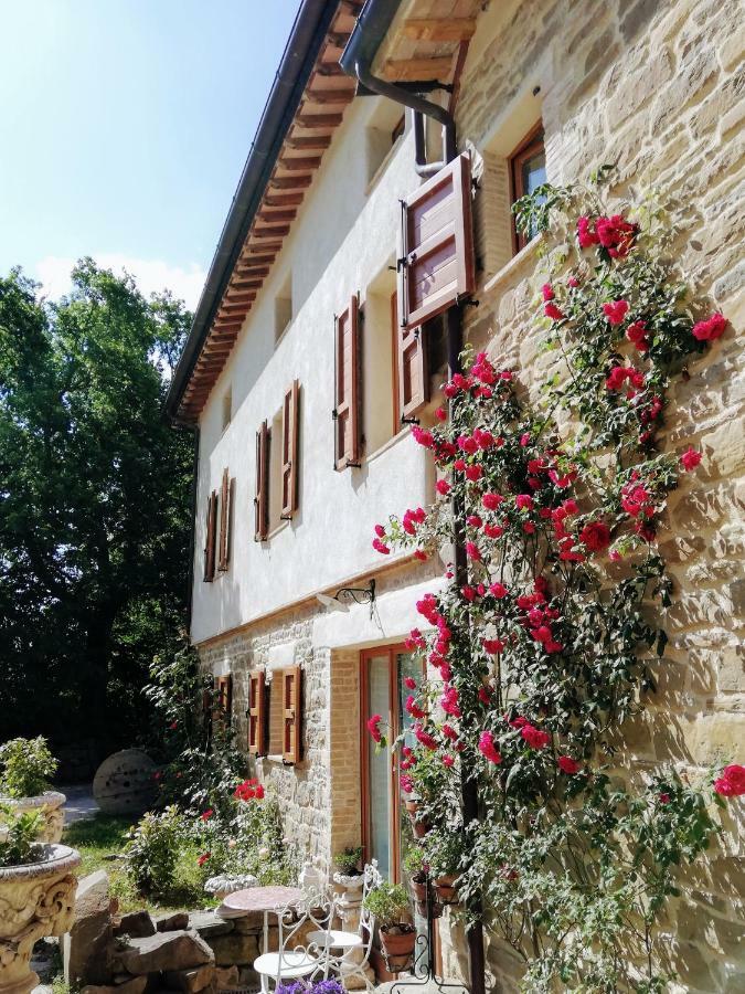 Bed and breakfast Le Ginestre Assise Extérieur photo